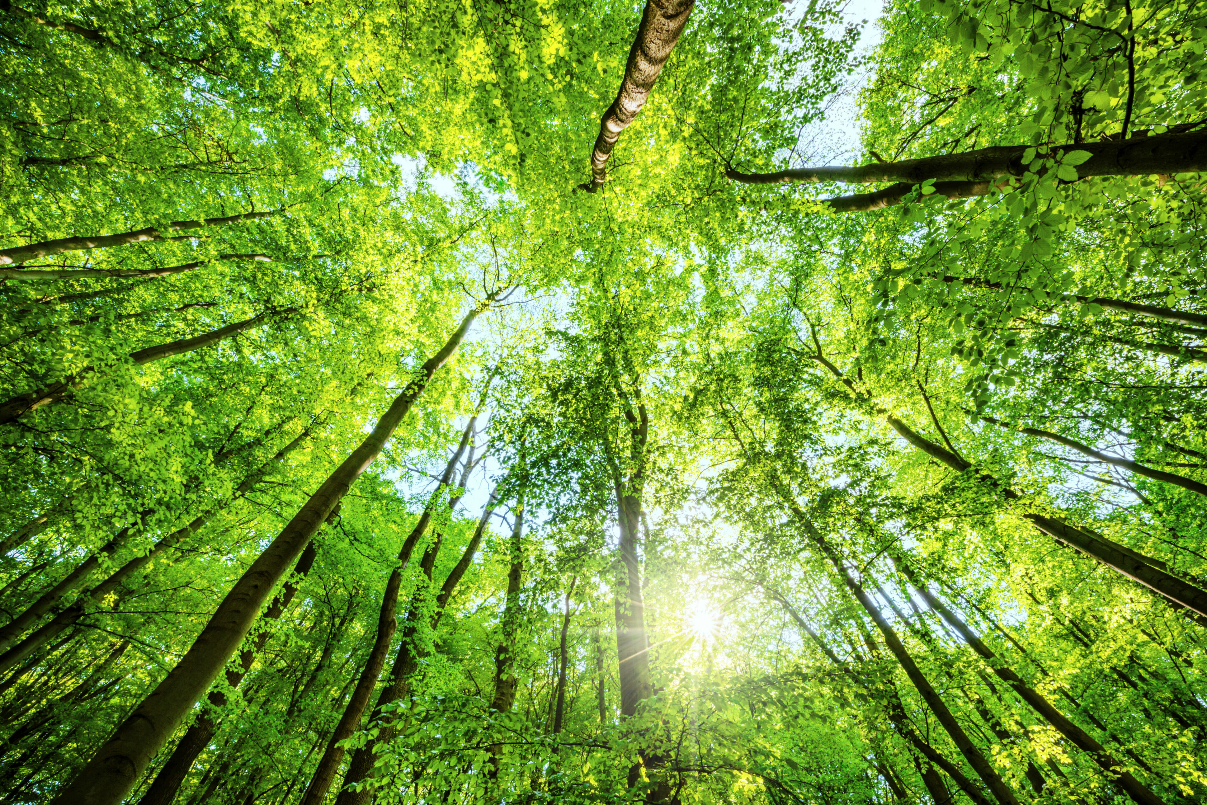 db242ffe5c72a6c8694379dc07bd332e07054f7e scaled